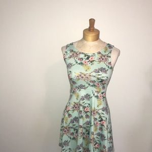 Divided dress size 6